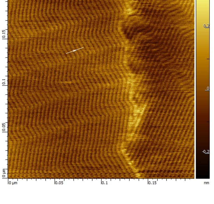 200nm topography scan of SAM of Palmityl Palmitate on HOPG. AFM Image obtained with MikroMasch® HQ:NSC14/Al BS AFM probe with closed loop in XY using Smart SPM ( AIST-NT Inc, Novato, CA). Image courtesy of Fedor Kraev, UC Davis 200nm topography scan of SAM of Palmityl Palmitate on HOPG. AFM Image obtained with MikroMasch® HQ:NSC14/Al BS AFM probe with closed loop in XY using Smart SPM ( AIST-NT Inc, Novato, CA). Image courtesy of Fedor Kraev, UC Davis