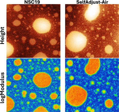 SEBS-BH 2 µm AFM Images - MikroMasch® NSC19 Series and SelfAdjust-Air AFM Probes SEBS-BH 2 µm AFM Images - MikroMasch® NSC19 Series and SelfAdjust-Air AFM Probes