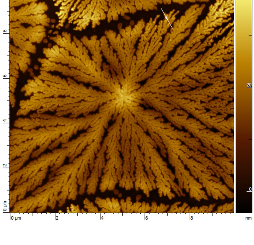 Polymer Spherulite on Mica. 10 µm topography scan. AFM Image obtained with MikroMasch® HQ:NSC14/Al BS AFM probe on Smart SPM ( AIST-NT Inc, Novato, CA). Image courtesy of Fedor Kraev, UC Davis Polymer Spherulite on Mica. 10 µm topography scan. AFM Image obtained with MikroMasch® HQ:NSC14/Al BS AFM probe on Smart SPM ( AIST-NT Inc, Novato, CA). Image courtesy of Fedor Kraev, UC Davis